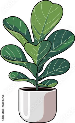 Vibrant Fiddle Leaf Fig in Modern Pot Vector on White or Transparent Background