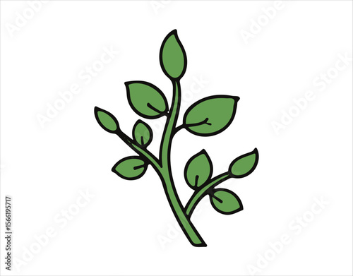 green leaves isolated on white background