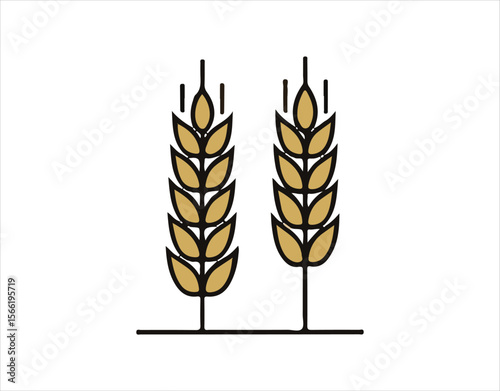 wheat ears isolated on white