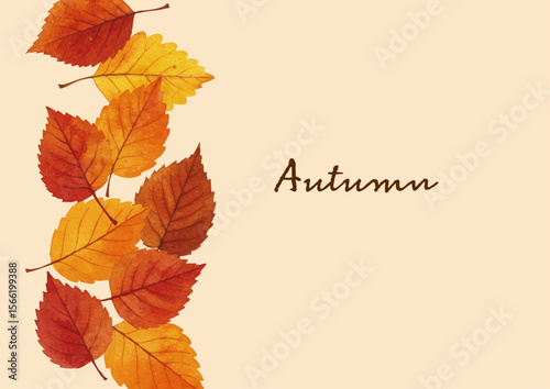 Vector watercolor illustration / 水彩テイストの紅葉イラスト