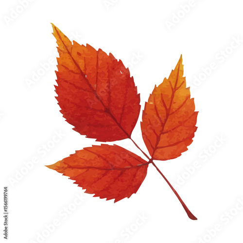 Vector watercolor illustration / 水彩テイストの紅葉イラスト