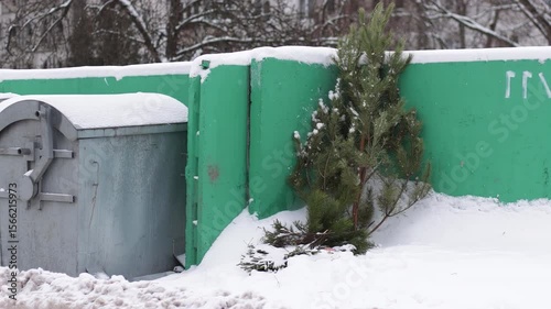 An old snow-covered Christmas tree lies in a trash heap in the city. Concept of the end of winter holidays and Christmas. Waste sorting and disposal. Slow motion