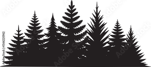 Coniferous Tree Silhouettes A Group of Evergreen Trees in Dark Outline