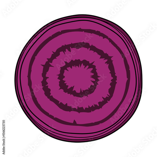 Beetroot slice on a transparent background, healthy vegetable concept
