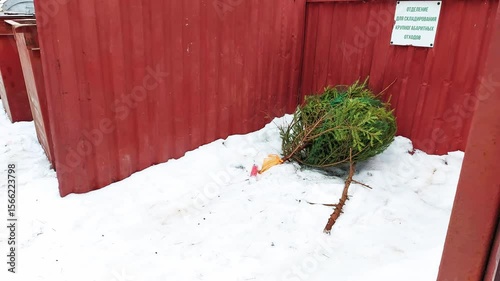 Green New Year tree thrown out of the house in the trash after the end of the New Year holidays 2025. Copy space for text
