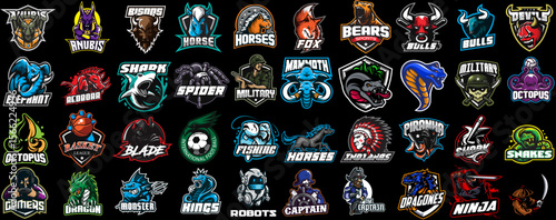 Icon esports