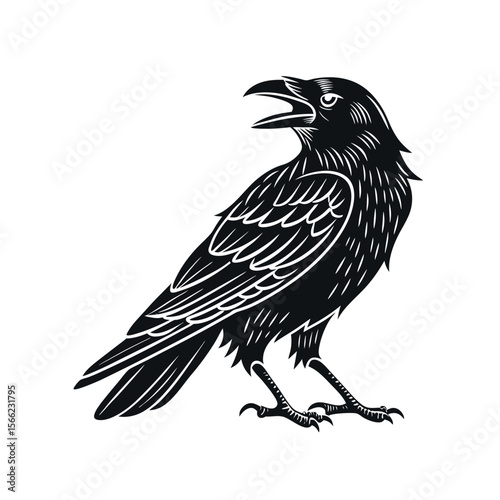 Majestic Raven Illustration Black and White Bird Artwork