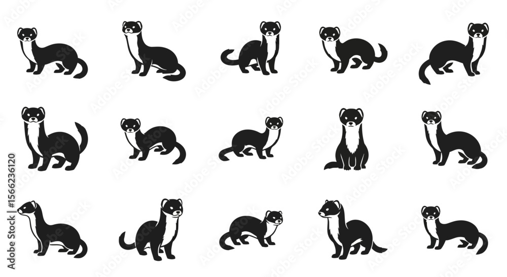 Obraz premium Various poses of ferret illustrations in black and white style 