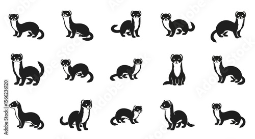 Various poses of ferret illustrations in black and white style  