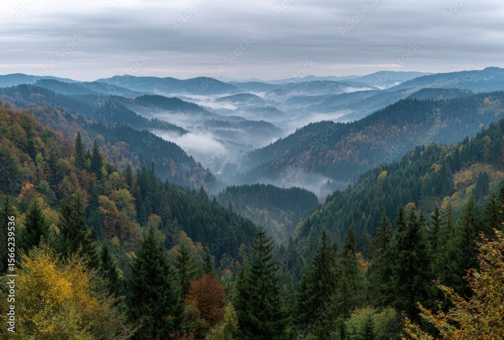 Fototapeta premium view of the mountains