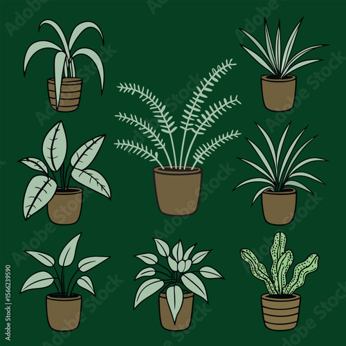 collection of plants
