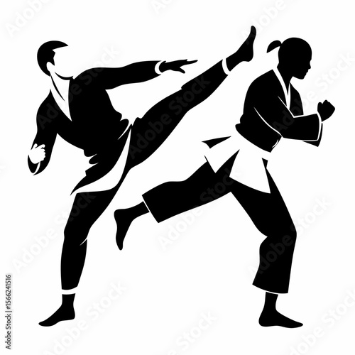 Dynamic Martial Arts Silhouette Powerful Kick, Intense Combat, Skilled Fighters