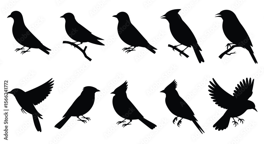 Fototapeta premium Set of bird silhouette illustrations in various flight and perched poses, ideal for wildlife, nature, and vector design projects