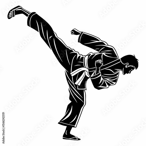 Dynamic Martial Arts Silhouette Powerful Kick in Action
