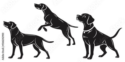 Elegant Black Dog Silhouettes Canine Art Prints, Vector Graphics, and Illustrations