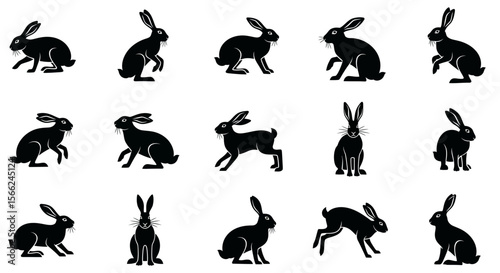 Black rabbits in different poses on a white background - Concept of animals in different poses  