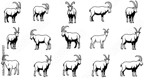 Various animals in different poses illustrated in black and white  
