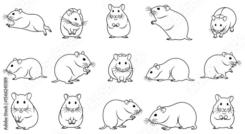 Hamsters in various poses and expressions in black and white  