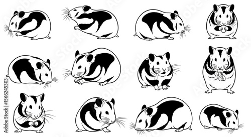 Guinea pigs in various poses demonstrating playful and curious behavior  
