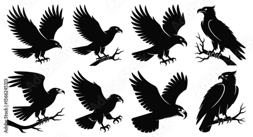 Set of eight black eagle and hawk silhouettes perched and flying, detailed raptor shapes perfect for nature, wildlife, and vector design