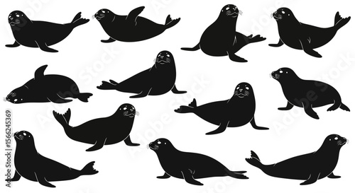 Various seals in different poses and expressions on white background  