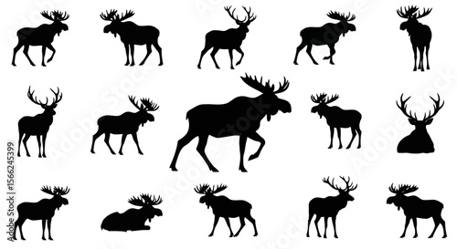 Silhouettes of moose in various poses on a white background  