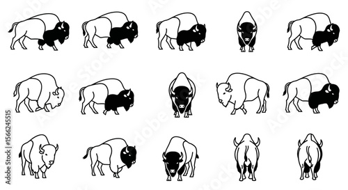 Various illustrations of bison in different poses and angles  