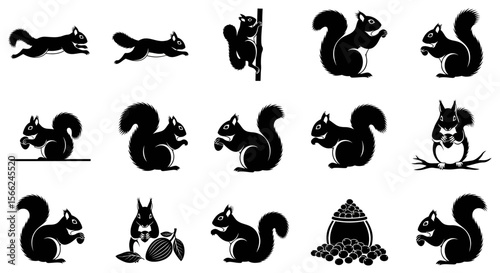 Various poses of squirrels in black silhouettes on white background  
