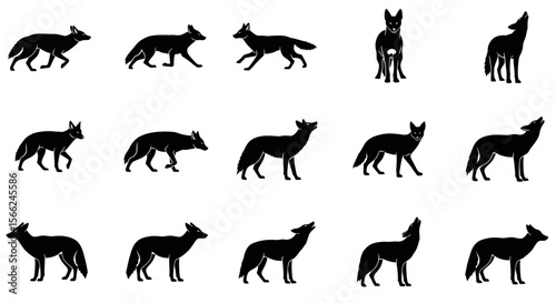 Silhouettes of animals in different poses on white background  