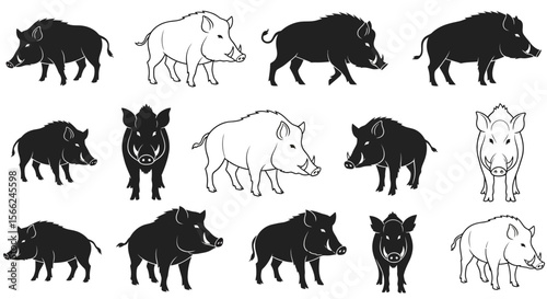 Various animals in different poses, including wild boars and pigs  