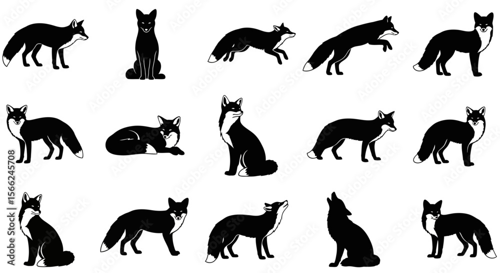Fototapeta premium Black foxes in different poses and actions on a white background 