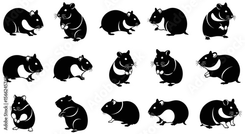 Various animals in different poses in black and white illustration  