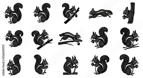 Squirrel in various poses and actions, concept of animals in different poses  