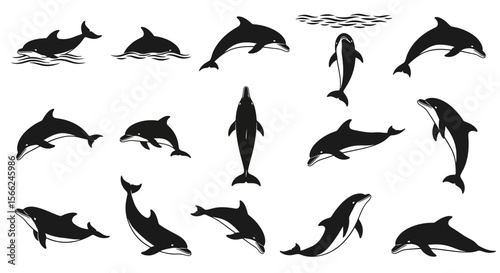 Various dolphin silhouettes in different poses and movements  
