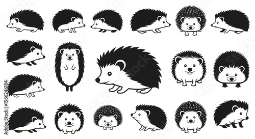 Various hedgehogs in different poses and expressions concept of animals in different poses  