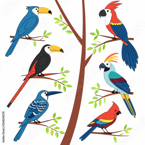 Colorful tropical birds perched on branches toucan