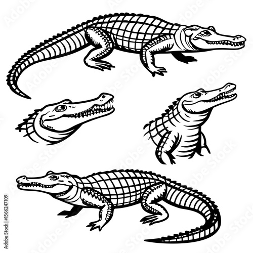Four black and white line art illustrations of alligators