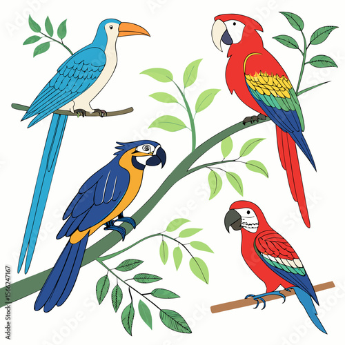 Four colorful parrots perched on branches macaws birds