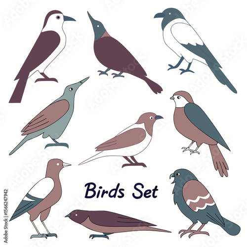 Various stylized birds with muted colors illustration
