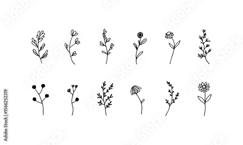 Ink Botanical Mix. A refined mix of floral line elements with blooming flowers and natural foliage in a soft ink style.
