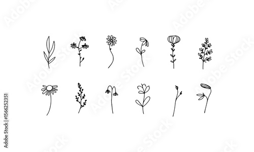 Rounded Floral Sprigs. Rounded sprigs with a gentle linear composition and subtle blooming details perfect for floral layouts.