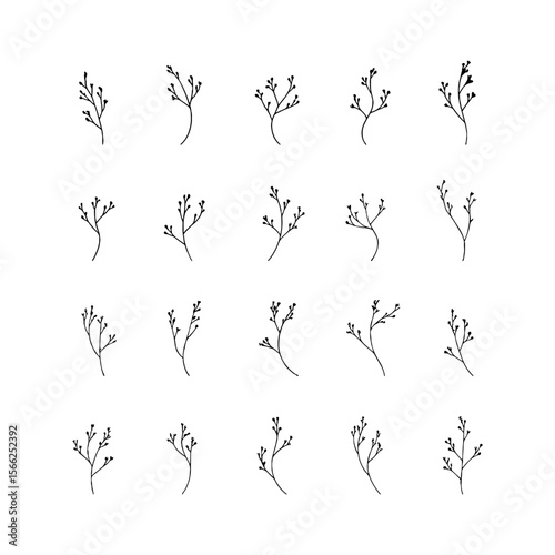 Linear Wildflower Elements. Thin-stemmed wildflowers with airy silhouettes and minimalist flair for subtle floral design work.