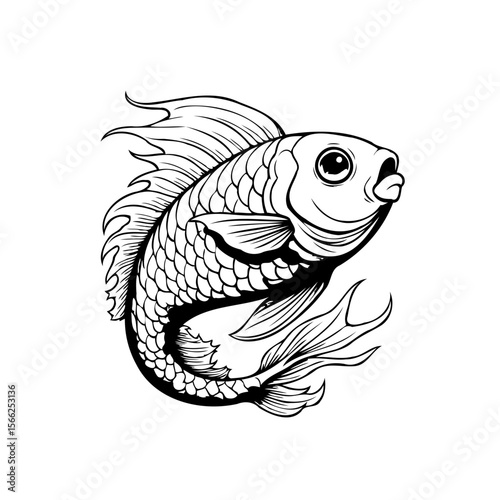 Detailed fish illustration showcases intricate scales and flowing fins in a minimalist line art design