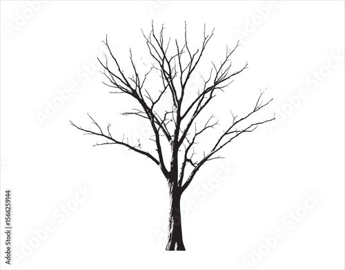 Lonely tree on a white backdrop, with a clipping path