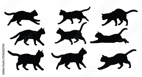 Black Cat Silhouette Vector Collection - Pet, Feline, Kitten, Walking, Running, Sitting, Sleeping, Playful, Domestic Animal Design