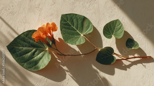 Orange Flower and Green Leaves on Beige Textured Background