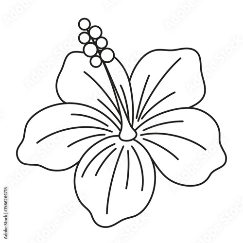 hibiscus flower in outline