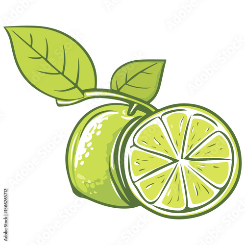 green lemon, fruit, food, vector, transparent background, lemon, fresh, healthy, vitamin, juice, juicy, lime, freshness, organic, sour, nature, green, ripe, diet