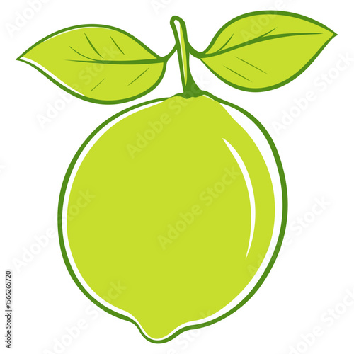 green lemon, fruit, food, vector, transparent background, lemon, fresh, healthy, vitamin, juice, juicy, lime, freshness, organic, sour, nature, green, ripe, diet