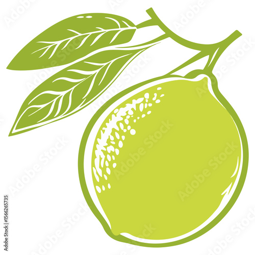 green lemon, fruit, food, vector, transparent background, lemon, fresh, healthy, vitamin, juice, juicy, lime, freshness, organic, sour, nature, green, ripe, diet